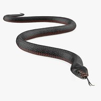 California Kingsnake Crawling Pose 3D Model