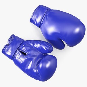 modèle 3D de Gants de boxe Everlast Bleu - TurboSquid 1947787