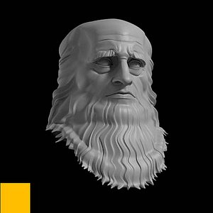 3d model head leo