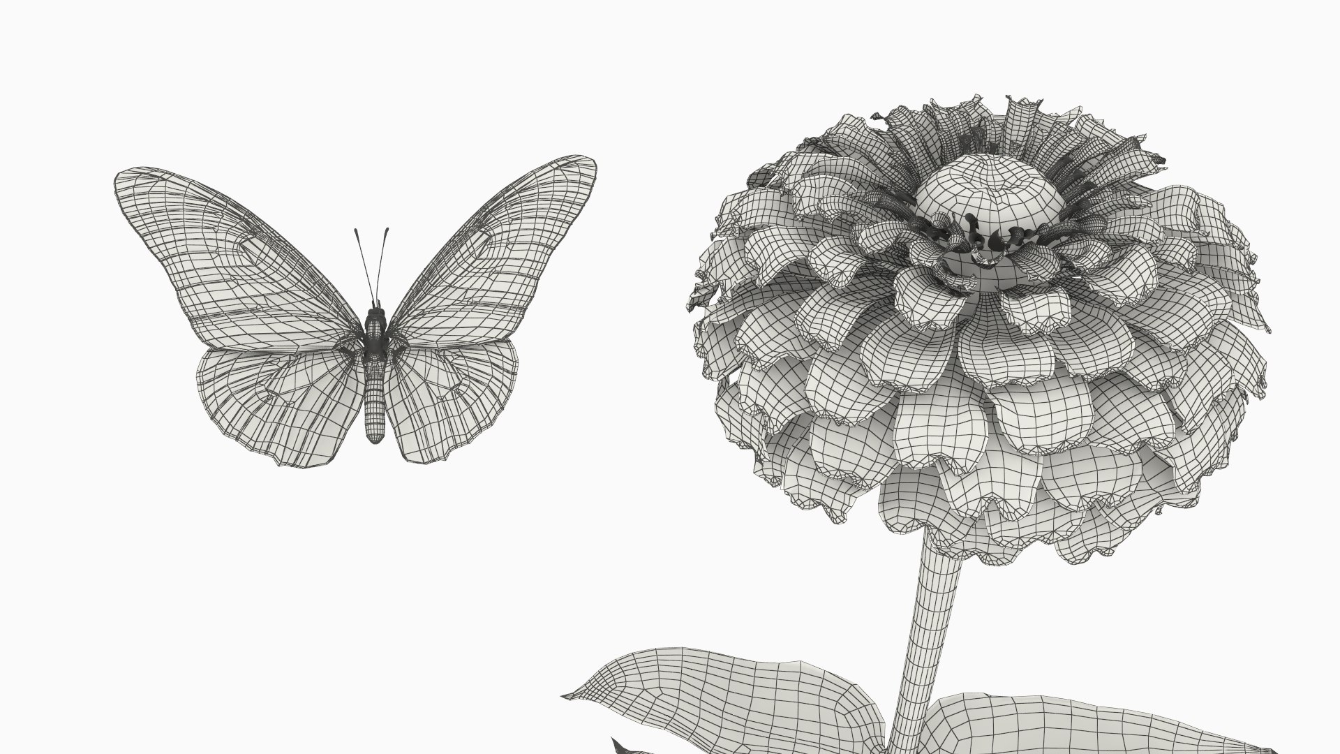 Zinnia Flower with Monarch Butterfly Orange Fur model https://p.turbosquid.com/ts-thumb/DR/jO5Csy/0C/zinnia_flower_with_monarch_butterfly_orange_fur_010/jpg/1772011626/1920x1080/fit_q87/6a5553b734a636d487a3084571189f79ff226cd4/zinnia_flower_with_monarch_butterfly_orange_fur_010.jpg