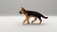 German Shepherd puppy Animated