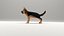 German Shepherd puppy Animated