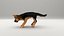 German Shepherd puppy Animated