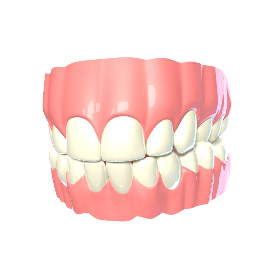 3d blending young older realistic female https://p.turbosquid.com/ts-thumb/DR/oBLrTs/E8KRmiyp/teeth/png/1403014848/1920x1080/fit_q87/6cbd0fe933bd1c39ec0348c2bbd3d8769334ff2e/teeth.jpg