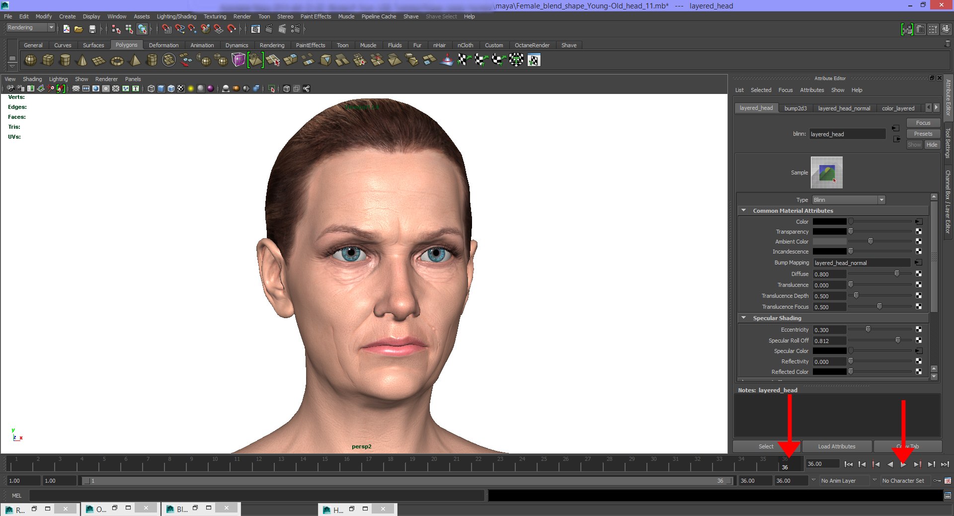 3d blending young older realistic female https://p.turbosquid.com/ts-thumb/DR/oBLrTs/OcnEXZy9/blending_animation_36/jpg/1470474194/1920x1080/fit_q87/3554646af52e946fff6eed50f801eab4bfa926aa/blending_animation_36.jpg