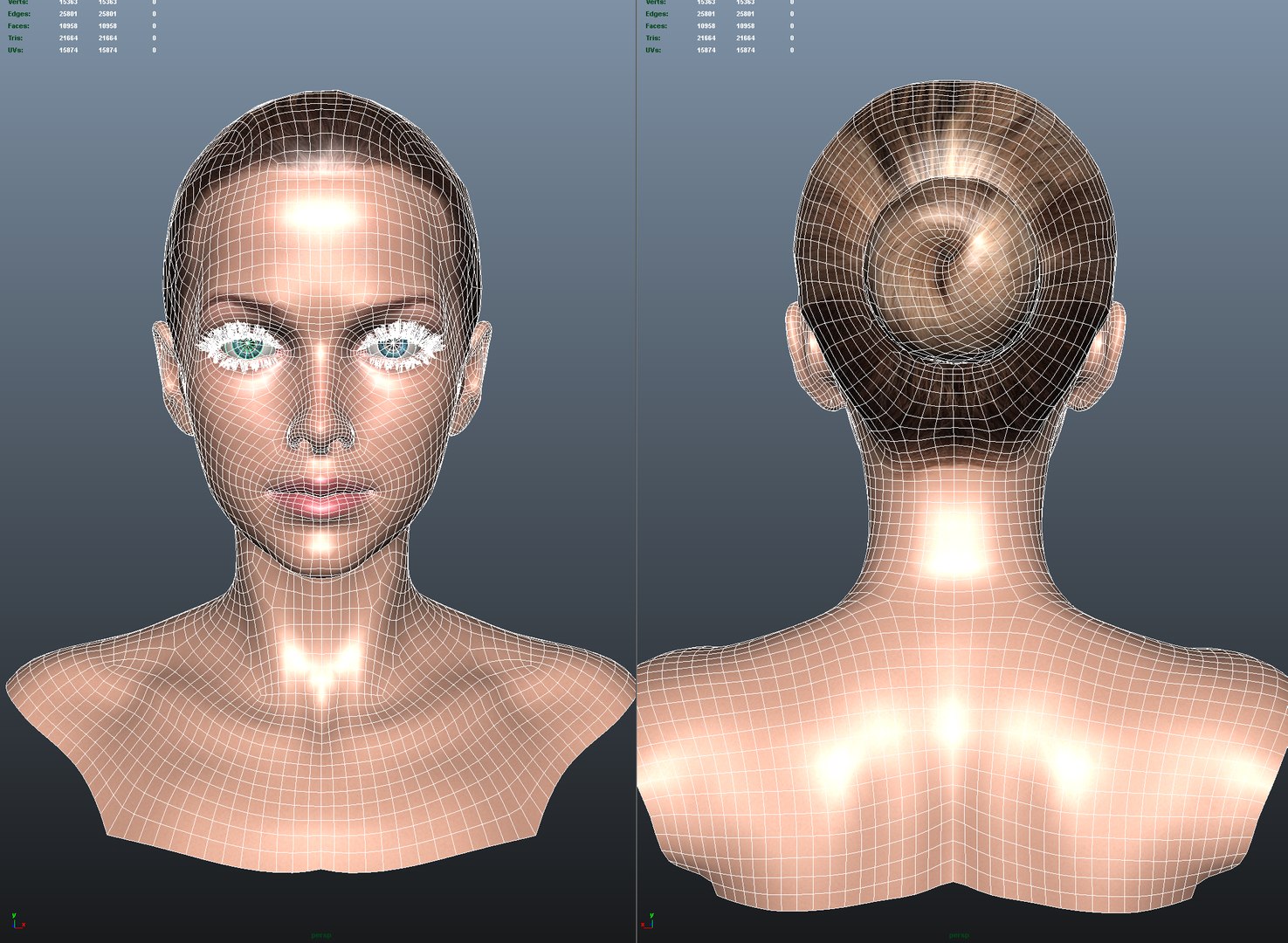 3d blending young older realistic female https://p.turbosquid.com/ts-thumb/DR/oBLrTs/ajwglHqS/young_female_head_3d_model_y_wf/png/1403014849/1920x1080/fit_q87/e191d65a5c1beda1bb74dd7e9082b7245b7cf15a/young_female_head_3d_model_y_wf.jpg