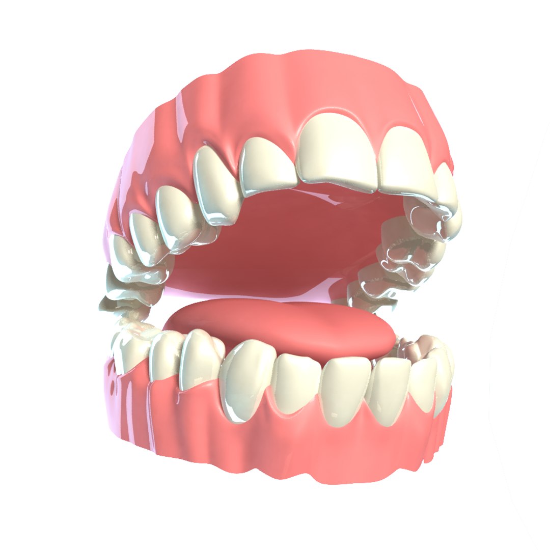 3d blending young older realistic female https://p.turbosquid.com/ts-thumb/DR/oBLrTs/bnajQQqn/teeth_2/png/1403014848/1920x1080/fit_q87/6f22f05f400a4a2141319642291e7b976fc4da4e/teeth_2.jpg