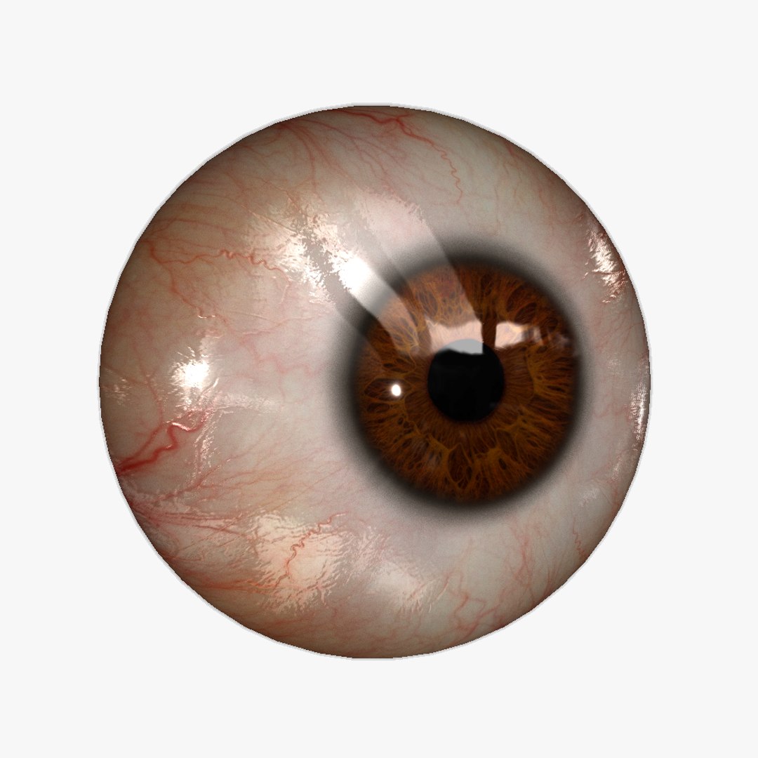3d blending young older realistic female https://p.turbosquid.com/ts-thumb/DR/oBLrTs/h3ebsqyq/eye_realtime_hd_ka_set_0112/png/1403014963/1920x1080/fit_q87/0d6b42065b8e98ccf85e3ce602bd3433b80c9da2/eye_realtime_hd_ka_set_0112.jpg