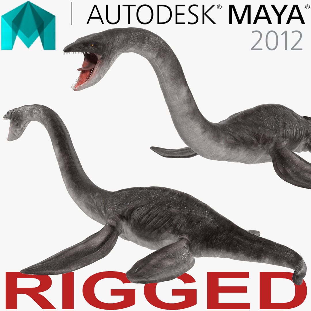 Plesiosauria Marine Reptile Dinosaur Rigged for Maya 3D model preview