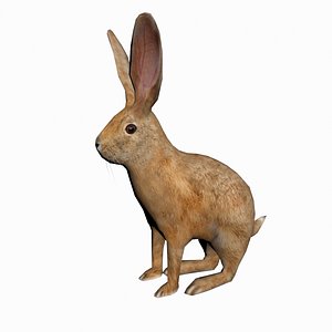 hare real time 3d max