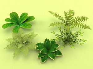 Bush 5in1 Low-poly