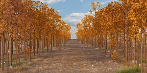 landscape autumn 3D model