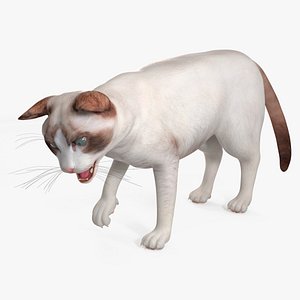 Ragdoll Cat Rigged for Maya