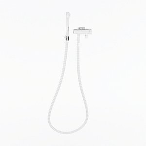Bidet Sprayer