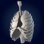 Lungs ANIMATED by 3DRivers