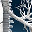 Lungs ANIMATED by 3DRivers