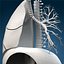 Lungs ANIMATED by 3DRivers