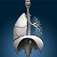 Lungs ANIMATED by 3DRivers