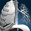 Lungs ANIMATED by 3DRivers