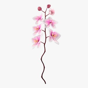 pink orchid modeled nature 3d model