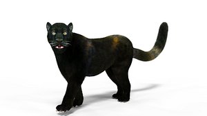 Fur Black Panther Rigged Blender