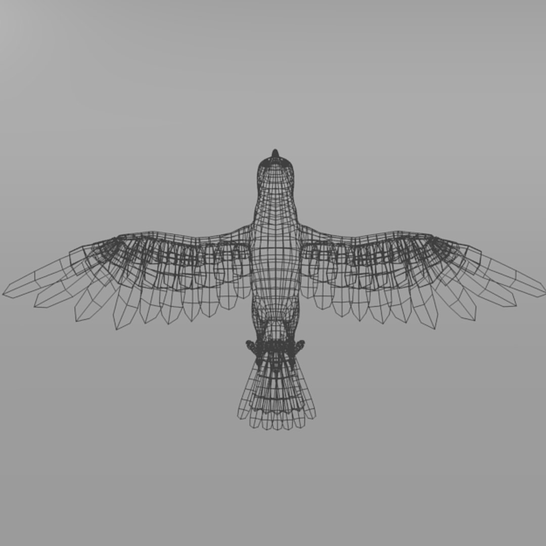 Crow 3D Model - TurboSquid 1316768