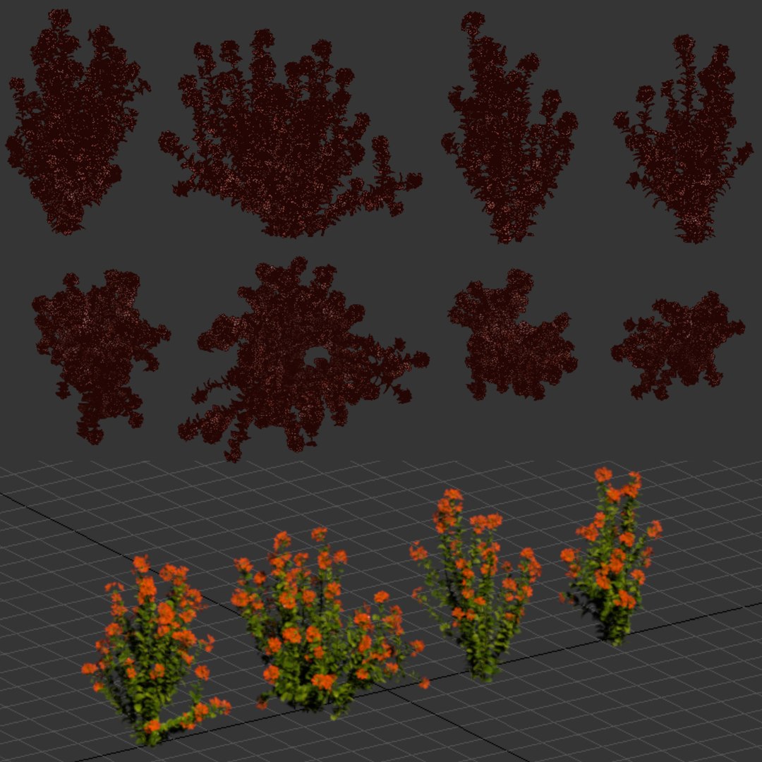 3D model Crossandra Bush Vol 304 https://p.turbosquid.com/ts-thumb/DS/ybNHB3/K3/8/jpg/1758905529/1920x1080/fit_q87/d58616e645da0e14d7ac8b906606b3de204a8eb9/8.jpg