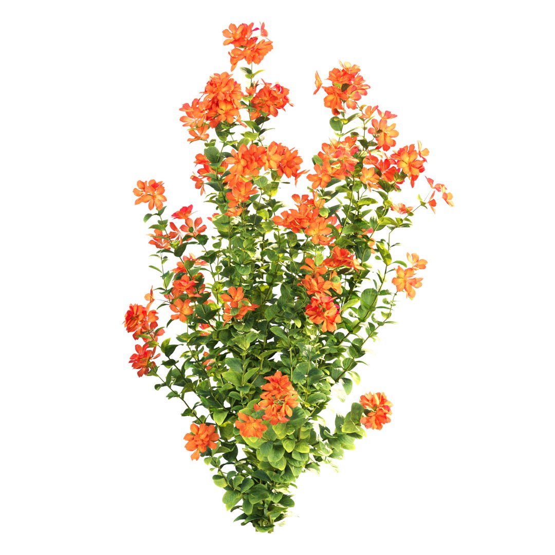 3D model Crossandra Bush Vol 304 https://p.turbosquid.com/ts-thumb/DS/ybNHB3/RU/4/jpg/1758905526/1920x1080/fit_q87/251c7325129cc33561104eff807eef2a45f7df94/4.jpg