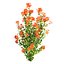 Crossandra Bush Vol 304