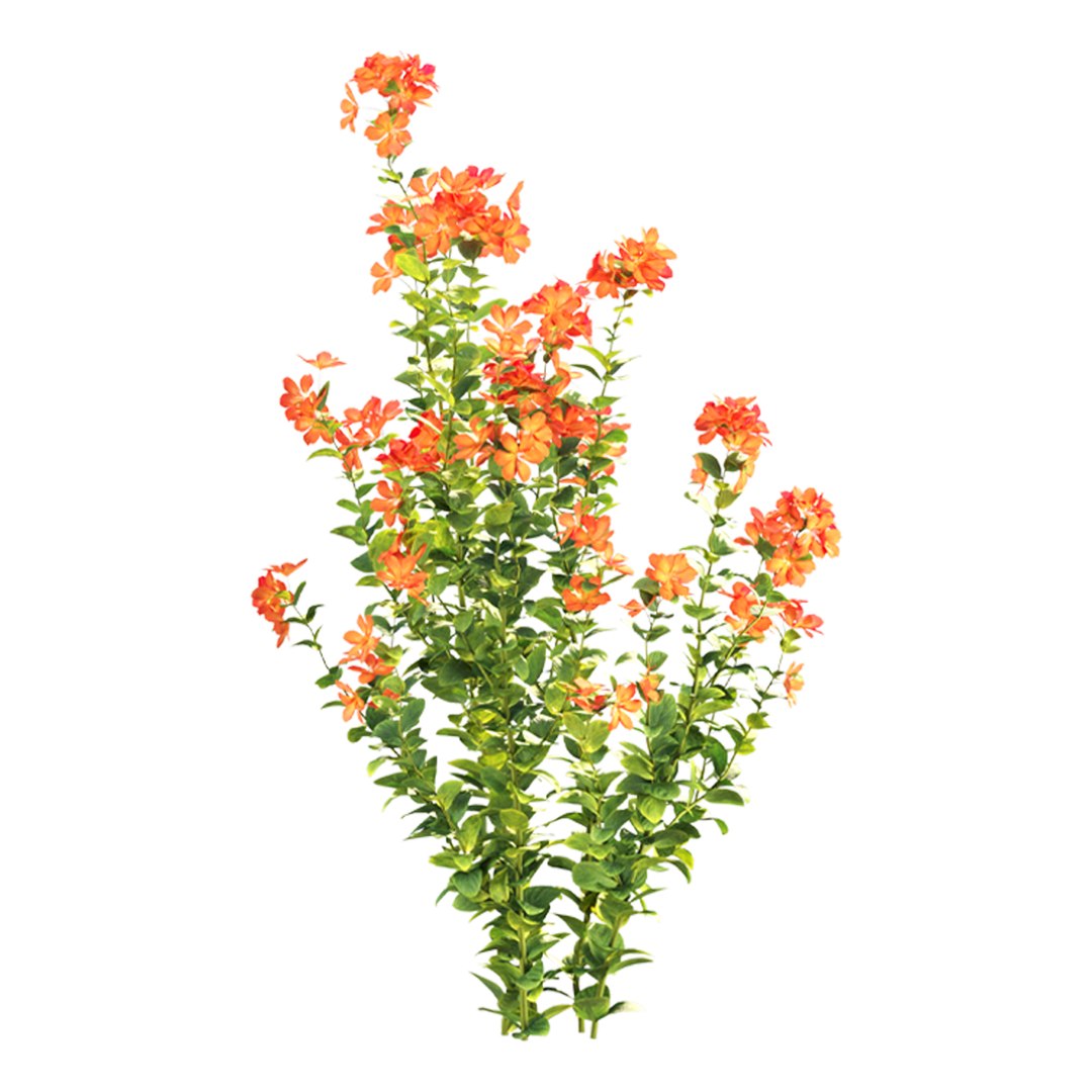 3D model Crossandra Bush Vol 304 https://p.turbosquid.com/ts-thumb/DS/ybNHB3/nY/7/jpg/1758905528/1920x1080/fit_q87/cf06b28355ac626e5656b9714419284262396cd3/7.jpg