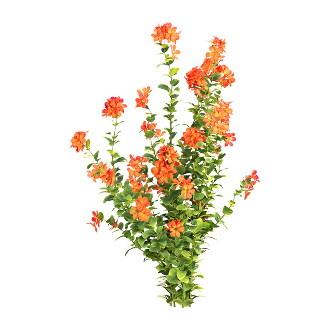 3D model Crossandra Bush Vol 304 https://p.turbosquid.com/ts-thumb/DS/ybNHB3/tT/6/jpg/1758905528/1920x1080/fit_q87/9c8342dadfc29001ad21f53422893feb58308dd8/6.jpg