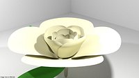 Flower - Gardenia