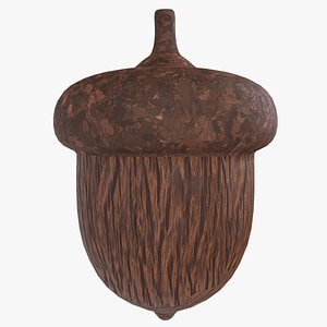 Acorn 3D model