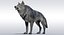 Ralistic Wolf Riggd
