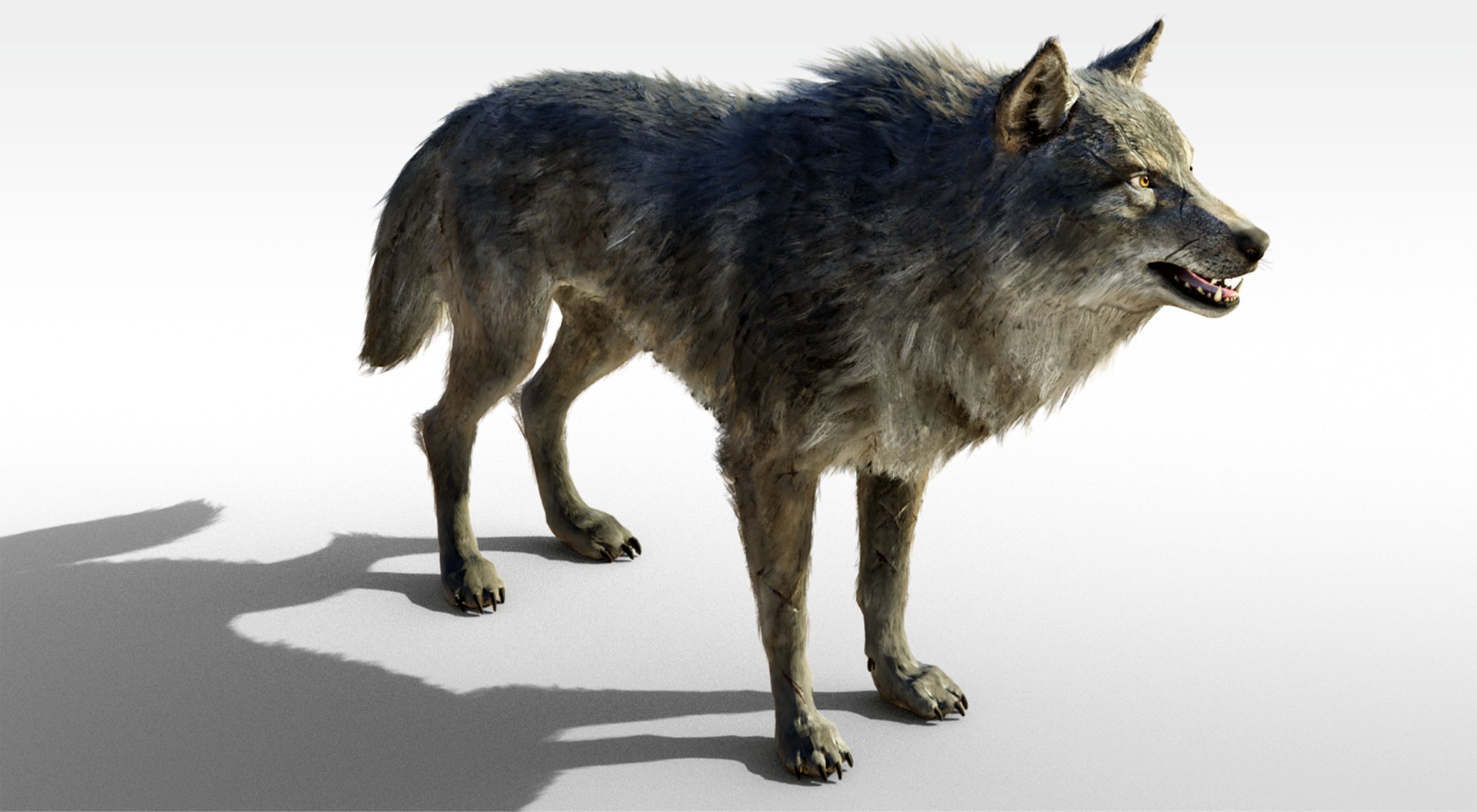 3D Ralistic Wolf Riggd model https://p.turbosquid.com/ts-thumb/DT/A8PJy6/nx/6/png/1673850972/1920x1080/fit_q87/c44515d5dd8690458fbf30eeb6e61f4136ada2b9/6.jpg