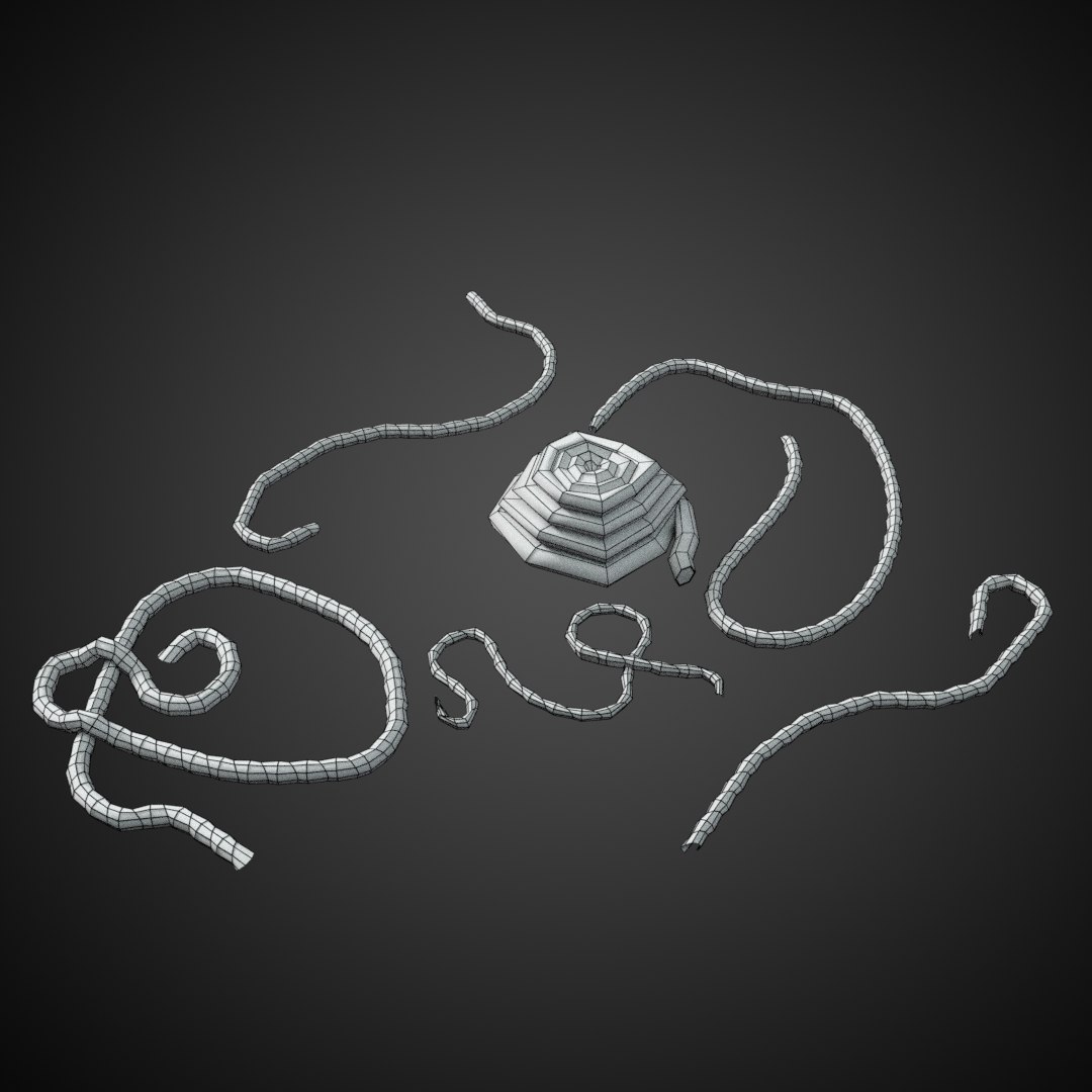rope coil 3D model https://p.turbosquid.com/ts-thumb/DT/A9ubWW/EVtehif8/wireframe3/png/1491196853/1920x1080/fit_q87/446a53fa70e8cc040982aec23423a5e24cf72704/wireframe3.jpg