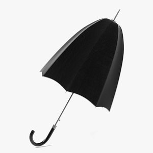 Umbrella Animation