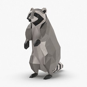 Raccoon Upright