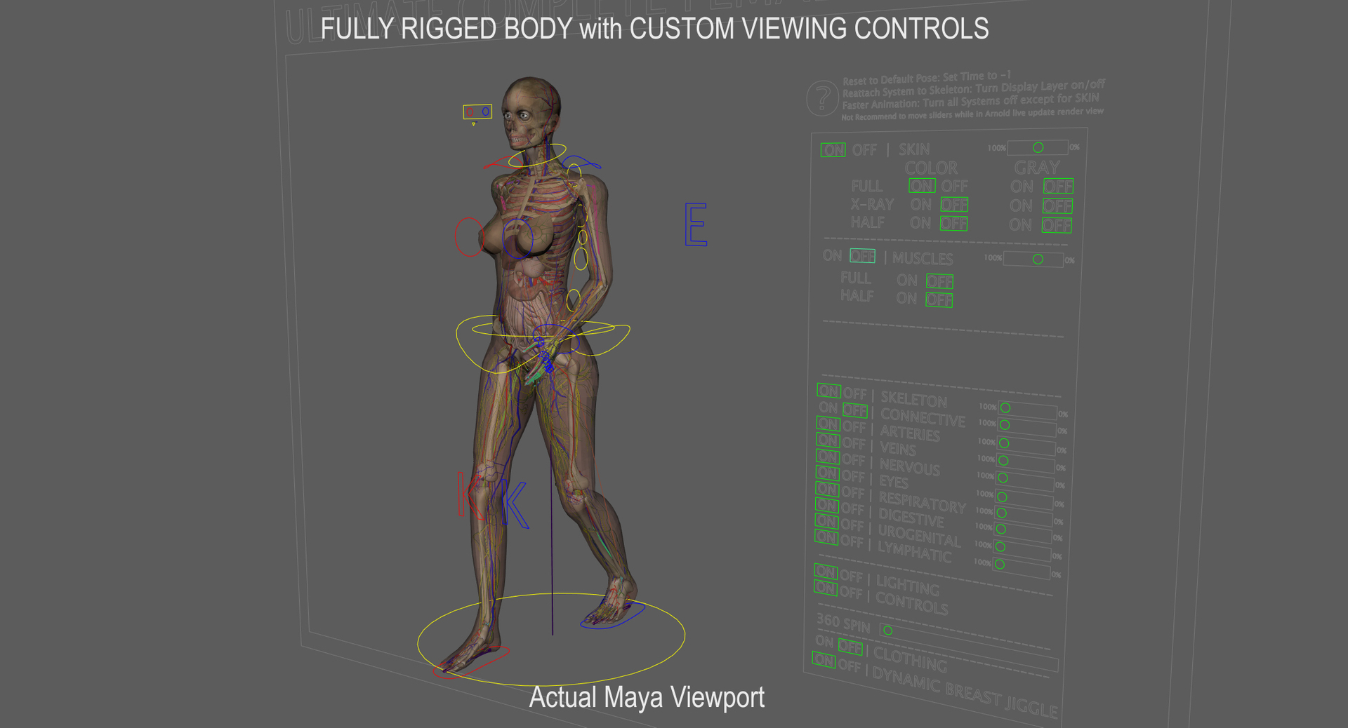 anatomy 3D model https://p.turbosquid.com/ts-thumb/DT/YhSSjM/3rZ7jzvV/walk/jpg/1541704954/1920x1080/turn_fit_q99/c3dc27bbc89578f985f84bcc5c588691cc34fb6b/walk-1.jpg