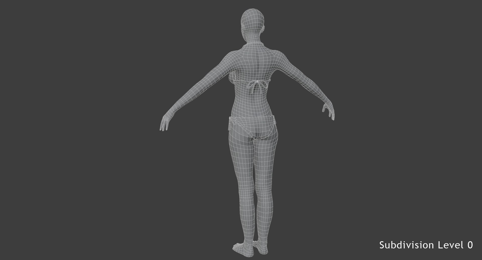 anatomy 3D model https://p.turbosquid.com/ts-thumb/DT/YhSSjM/4mAHYBu2/9/jpg/1540165088/1920x1080/fit_q87/4dcdac00fdf3813e565338bfeceab5459643bb31/9.jpg