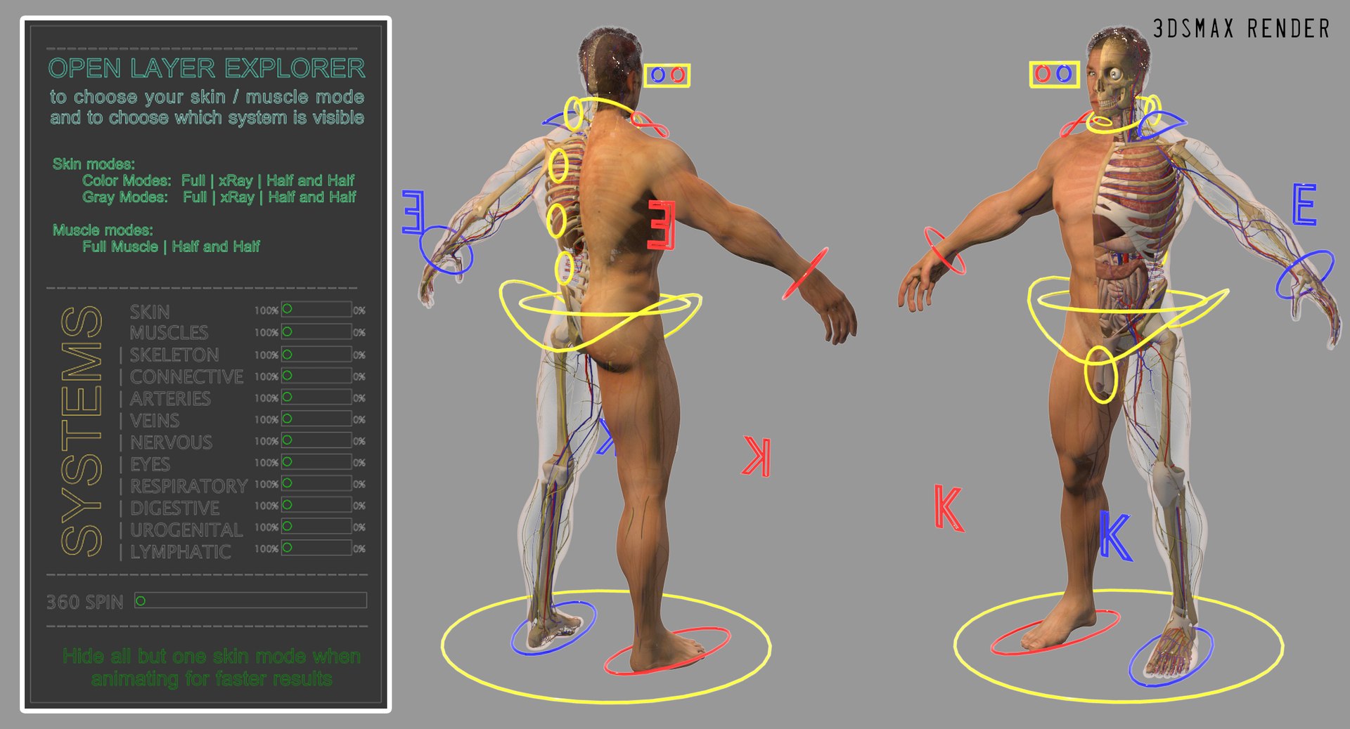 anatomy 3D model https://p.turbosquid.com/ts-thumb/DT/YhSSjM/6l9xtaSB/rignew/jpg/1566596430/1920x1080/fit_q87/b897ee345d80483b51686d32fae372d33a069021/rignew.jpg