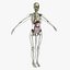 Ultimate Rigged Anatomy Combo