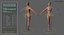 Ultimate Rigged Anatomy Combo