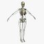 Ultimate Rigged Anatomy Combo