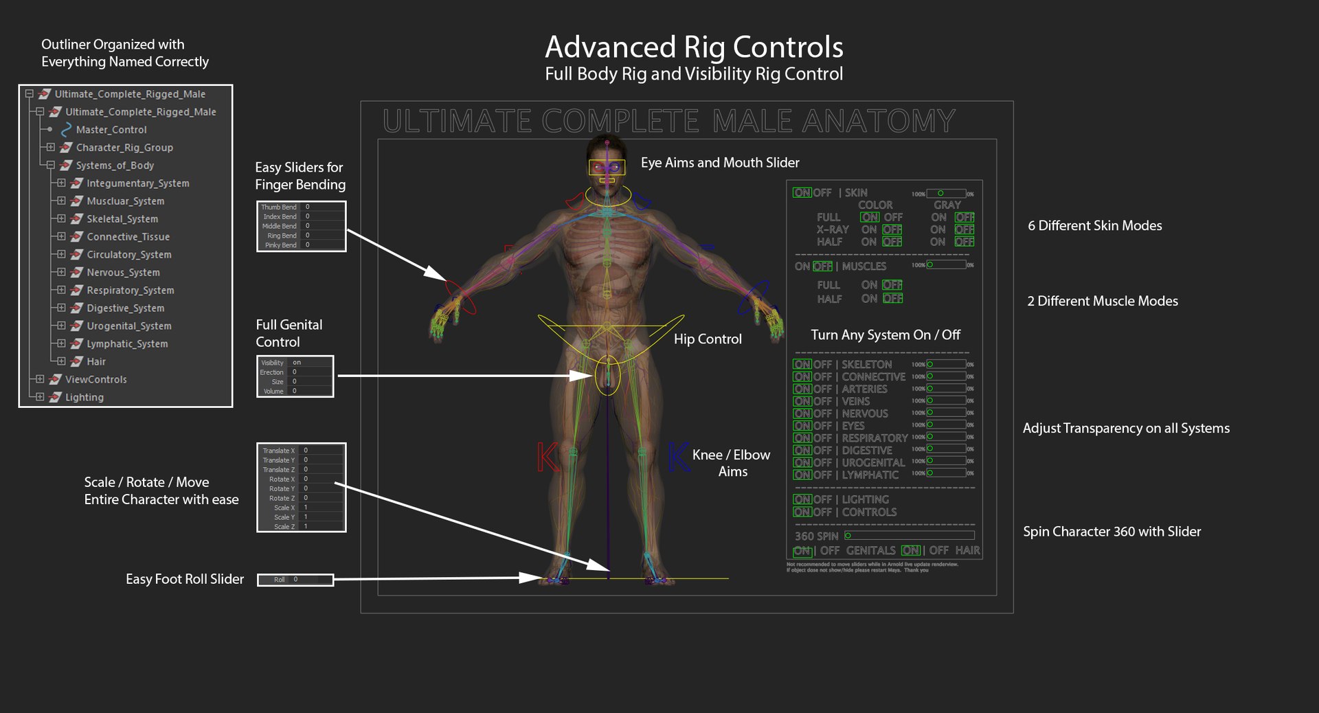 anatomy 3D model https://p.turbosquid.com/ts-thumb/DT/YhSSjM/bVIiovG6/rigmaster/jpg/1540152913/1920x1080/fit_q87/b7e4d205cc74a46cf7a474b23437b51c59ea70e0/rigmaster.jpg