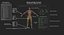 Ultimate Rigged Anatomy Combo