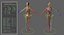 Ultimate Rigged Anatomy Combo