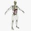 Ultimate Rigged Anatomy Combo