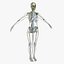 Ultimate Rigged Anatomy Combo