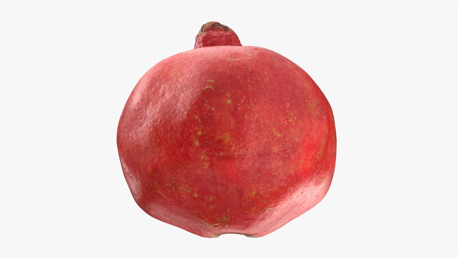 Pomegranate Half 01 3D model https://p.turbosquid.com/ts-thumb/DT/hUABJN/20/halfpomegranate01_0008/png/1761560968/1920x1080/fit_q87/71cd792898f051e07e8b63019d8e646d3ae450e4/halfpomegranate01_0008.jpg
